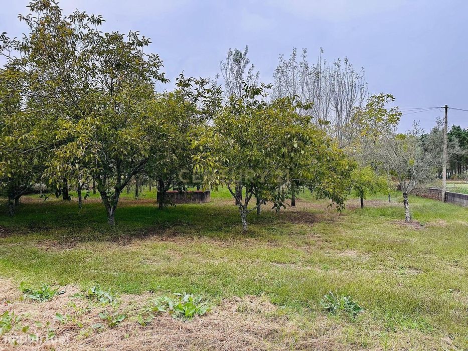 Dois artigos: Urbano com 498 m2 e terreno rústico com 1000 m2 em Vilar