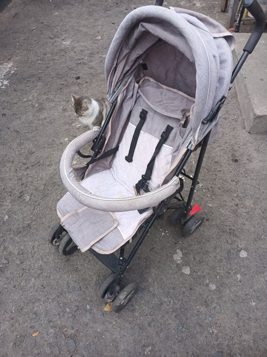 Продам стан добрий .