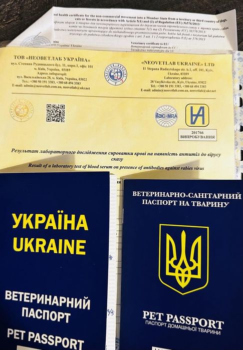 Документы на животных для выезда за границу