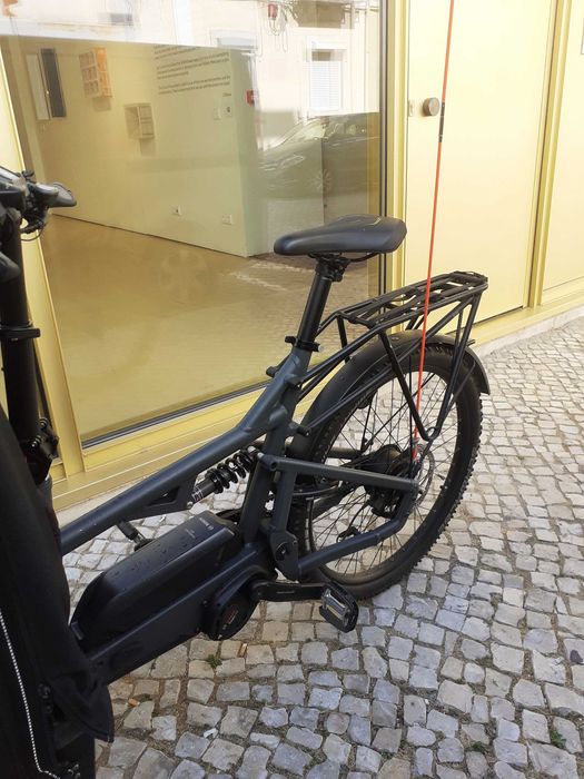 Riese & Müller Load 75 Vario - bicicleta de carga elétrica