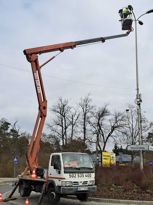 usługa podnośnikiem koszowym, wycinka drzew