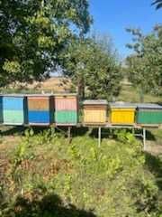 Ule Wielkopolskie z akcesoriami 9 sztuk