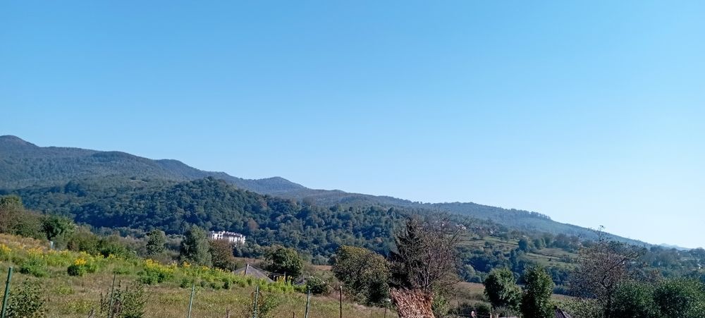 Продам земельну ділянку Голубине Закарпатської