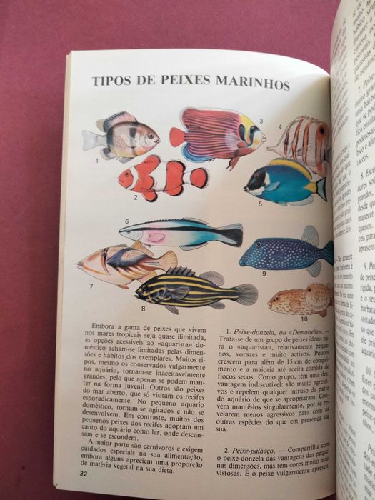O Seu Aquário de Peixes Tropicais - Brian Ward
