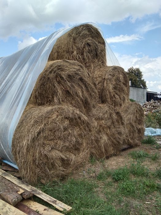 Продам сено в тюках луговое вес 18 + кг