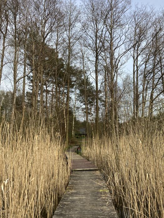 Domek nad morzem / Domek z balią nad morzem