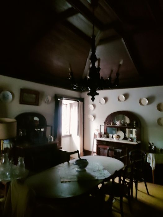 Quinta com 20 000 M2 em Santa Marinha - Ribeira Pena