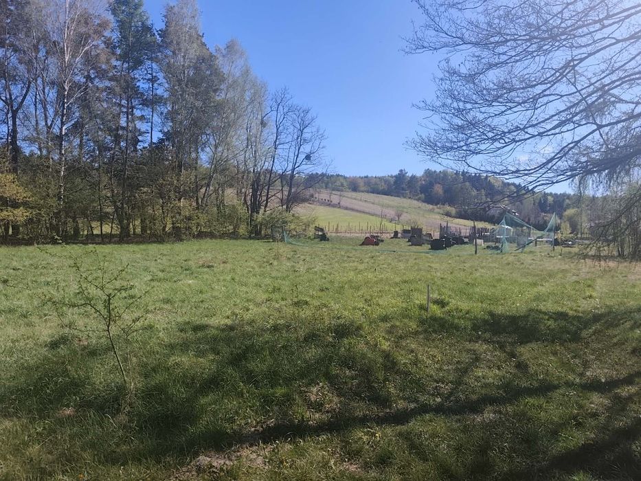 REZERWACJA Roztocze • 4351 m² • MNU • pod domki / inwestycję obok Krasnobrodu REZERWACJA
