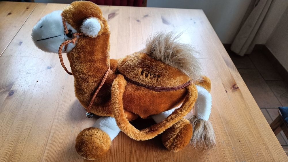 Plecak lub torba- grający wielbłąd