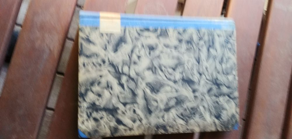 Książka "Józef Piłsudski jako publicysta i Historyk" z roku 1934r