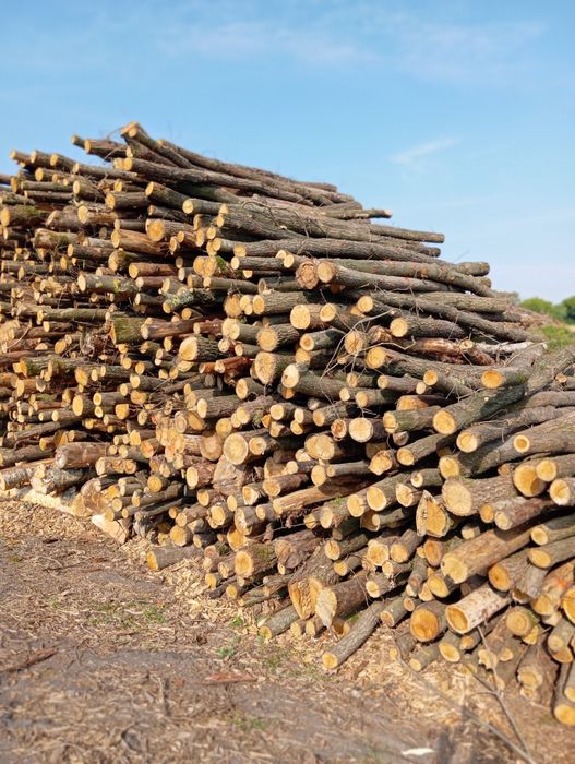 Sprzedam drewno opałowe kominkowe