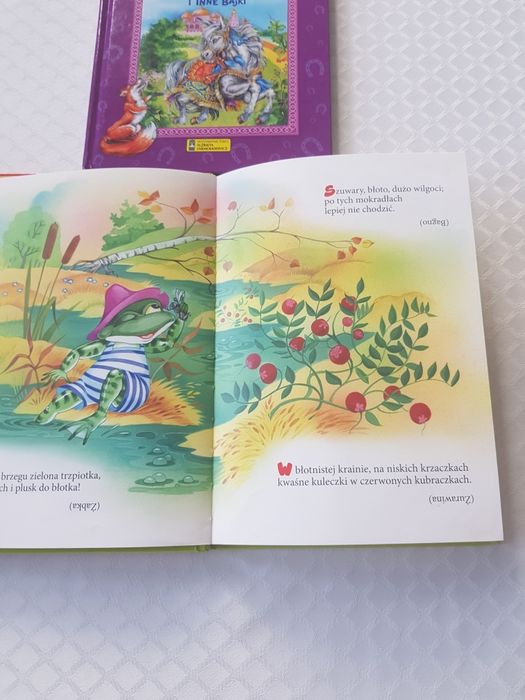 Zestaw 3 książeczek z serii Dziecięca biblioteczka