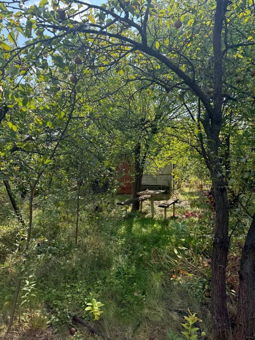 Дача в 12 соток с.Богданівка до річки 1км