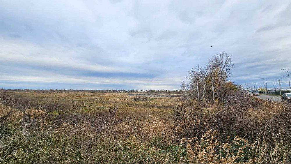 Продаж комерційних, промислових та складських ділянок — Погреби