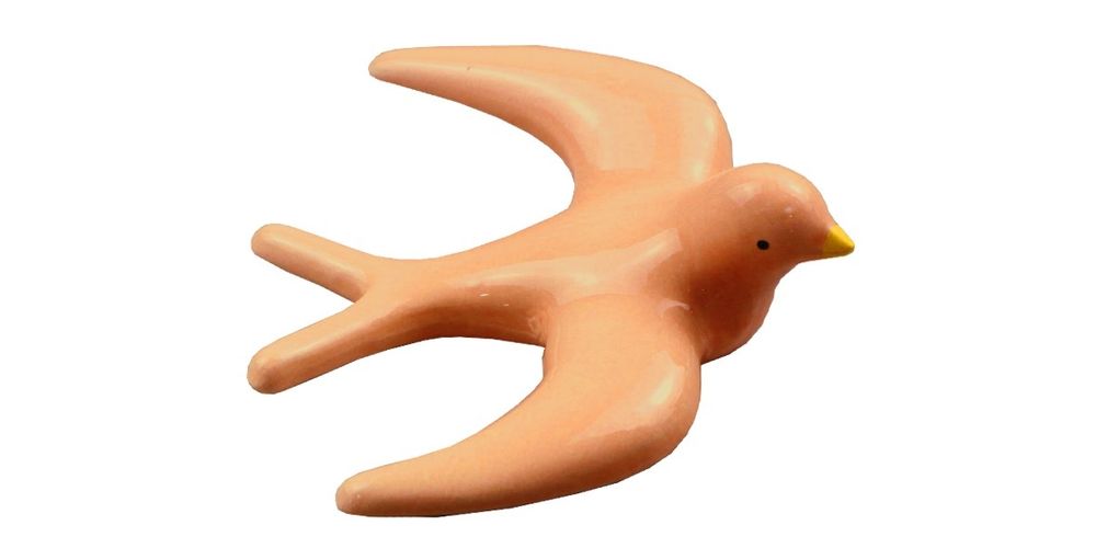 Andorinhas de paredes - novas