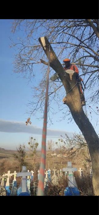 Зрізання дерев, обрізка валка дерев, спилювання, чистка ділянок,
