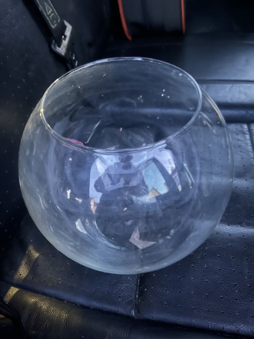 Akwarium kula dla ryby