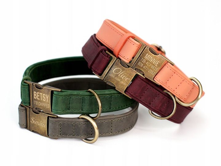 Grawerowana Obroża Dla Psa Skórzana Z Metalową Klamrą, Zielony Kolor