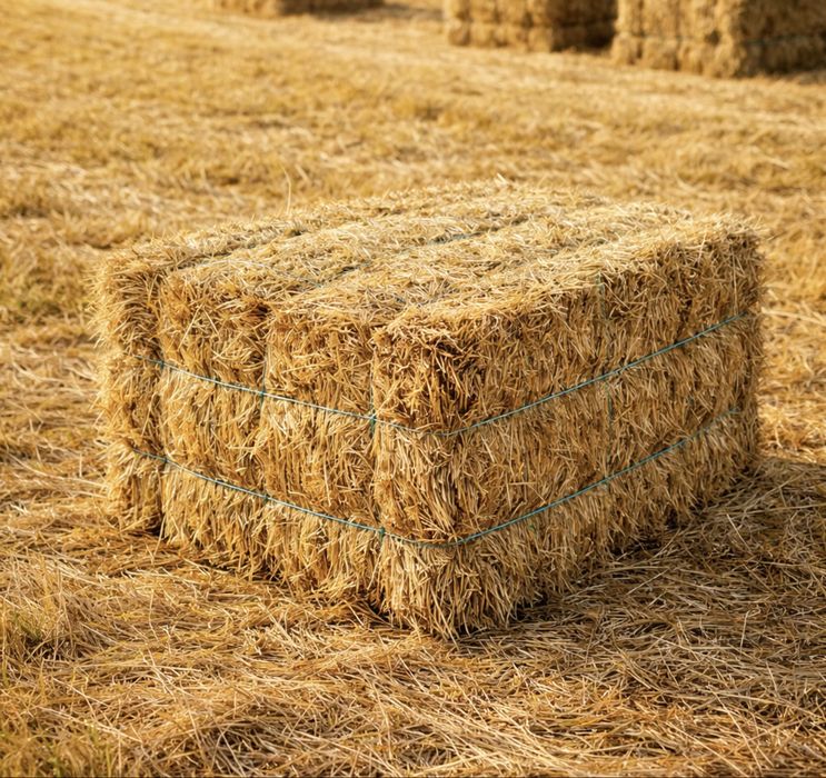 Vendo Feno de Qualidade