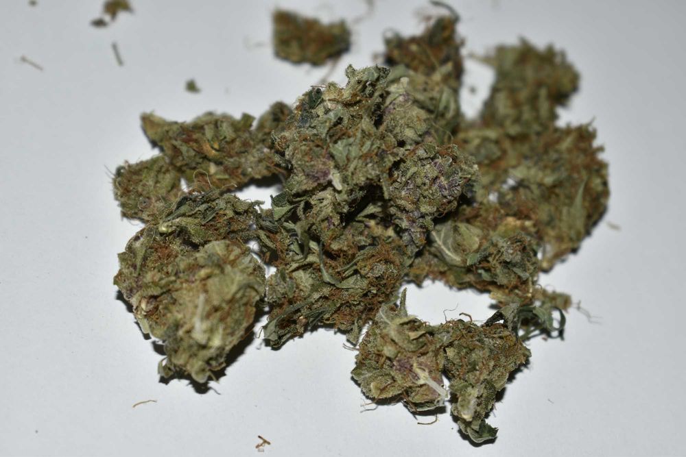 Marihuana Blue Monkey 15g Susz Roślinny THC CBC CBN CBG CBL Susz Konopny 15g Blue Monkey