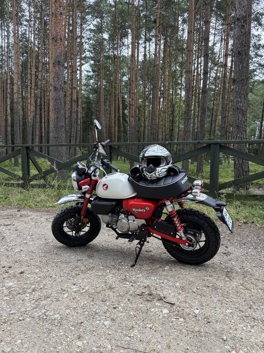 Wynajem motocykla Honda Monkey 125 ccm kat. B