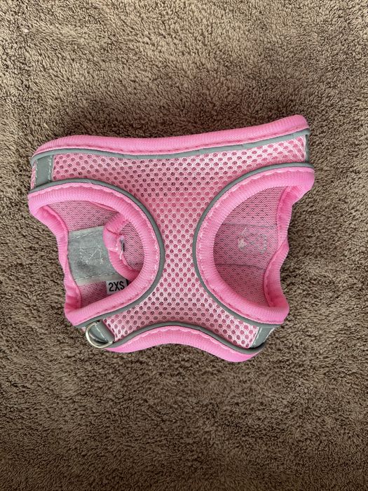 Одяг для котиків та собачок