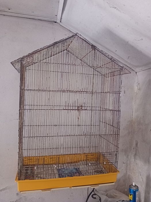 Gaiola para aves
