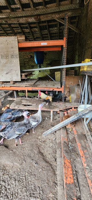 garnizos para mudar de casa