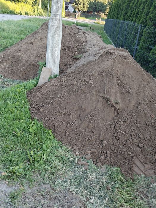 Oddam za darmo ziemię