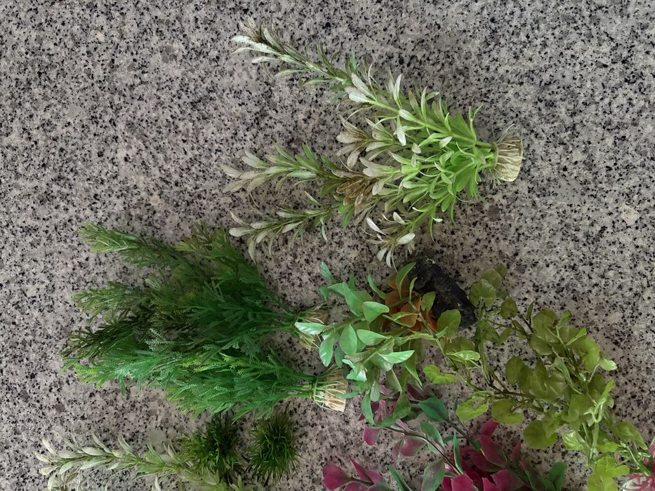 Plantas artificiais e decoração aquário