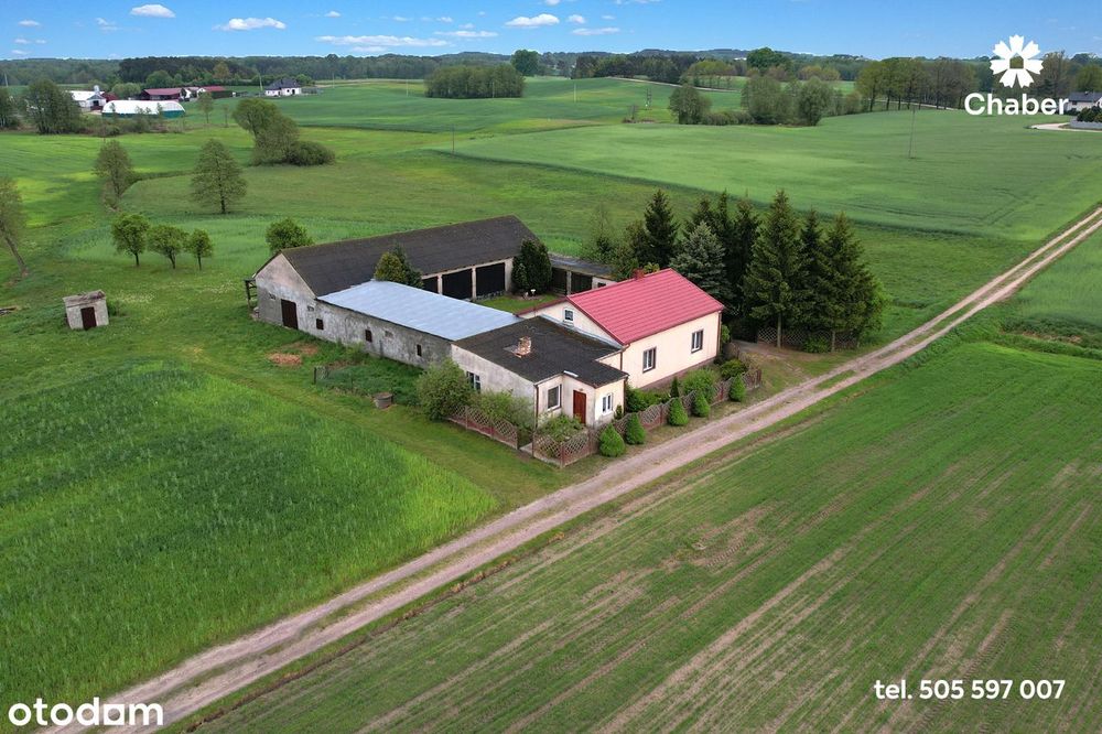 Siedlisko w sąsiedztwie lasów 17 km od Włocławka, dom 100m2