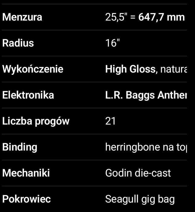 Gitara Elektro-akustyczna Seagull Artist Mosaic CW HG EQ zakup 2026