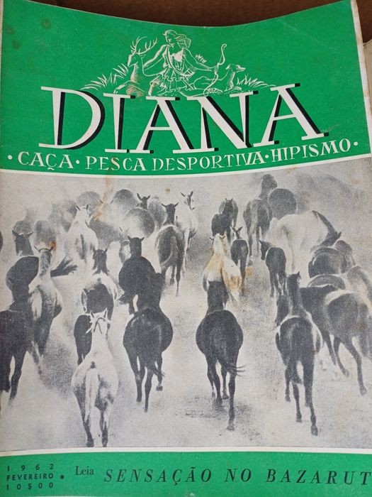 Revistas caça Diana