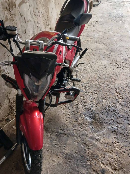 Мустанг регіон двісті