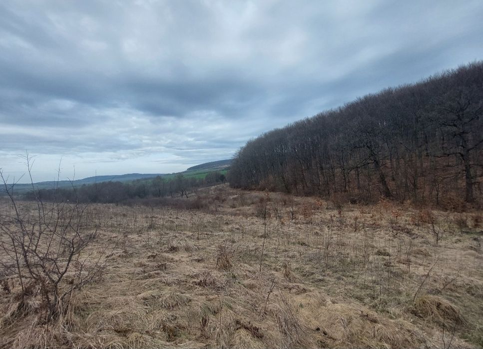 Продаж ділянки 1га близько м.Львів