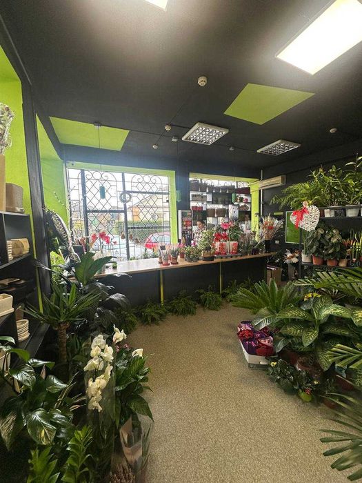 БОЯРКА 53м2 Здам КУТОВЕ приміщення з Панорамними вікнами біля ЗУПИНКИ