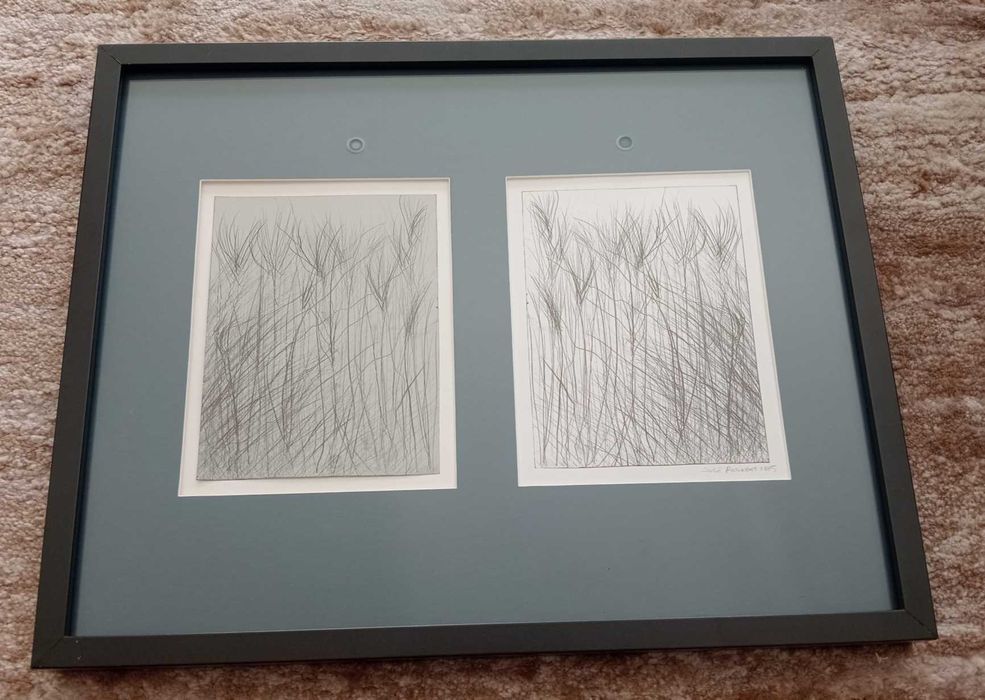 Quadro José Rosinhas 2015