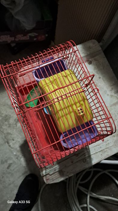 Клітка для хом'яка