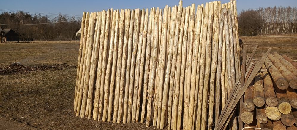 Paliki sadownicze kołki słupki