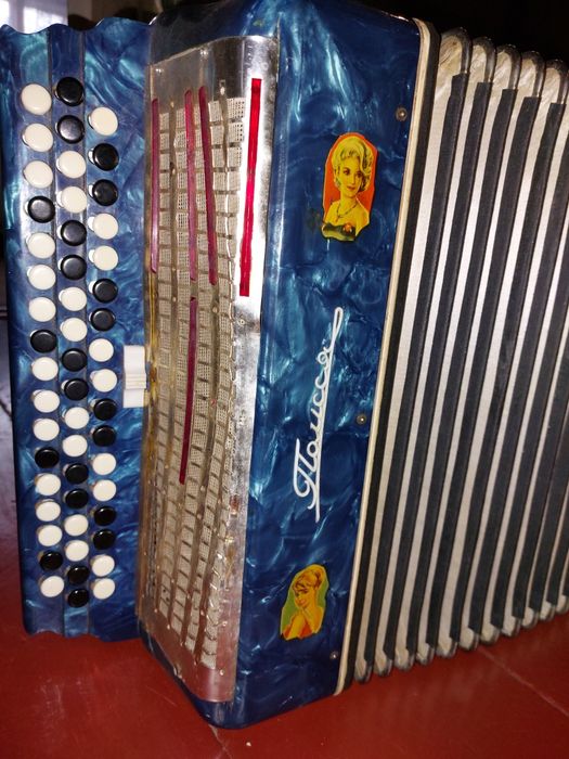 Баян       Полісся