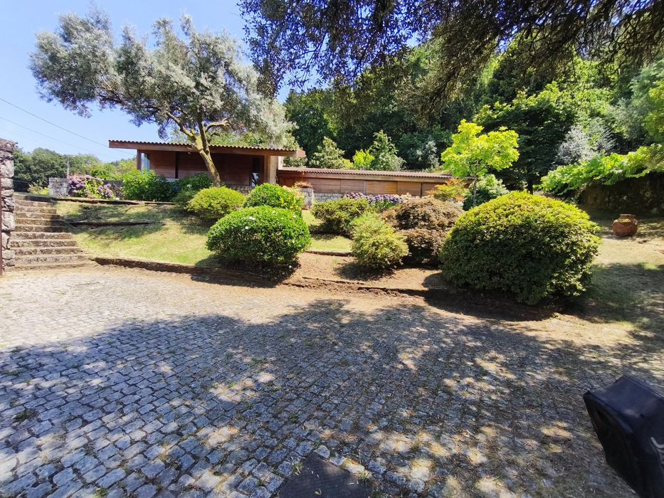 Jardinagem e Limpeza de Terrenos (Pequeno/Médio Porte) – Rápido e Económico