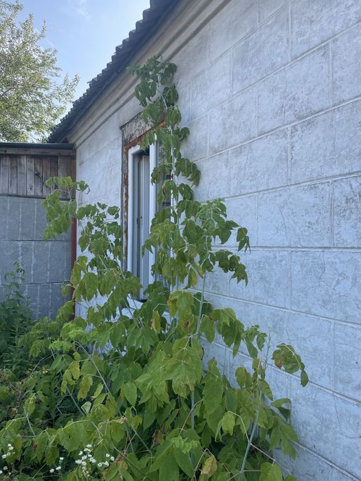 Продам (или сдам) Дом АНД район Береговой