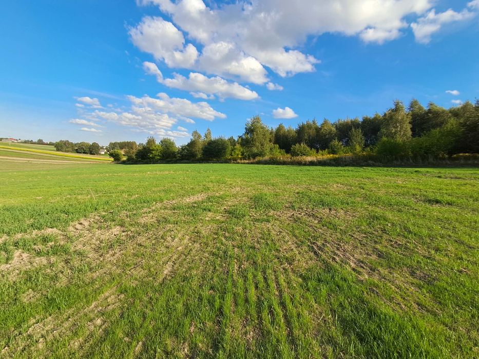 Na sprzedaż działka budowlana 10a o nr 499/13