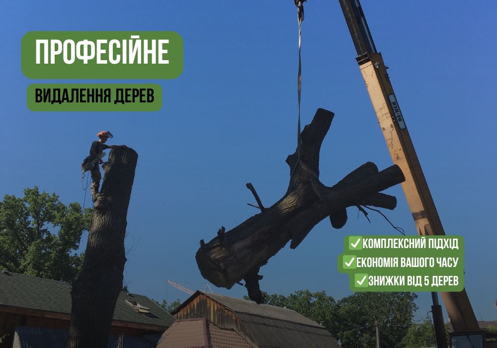 Небезпечне дерево? Спиляємо швидко та безпечно / Київ і область / сухое дерево