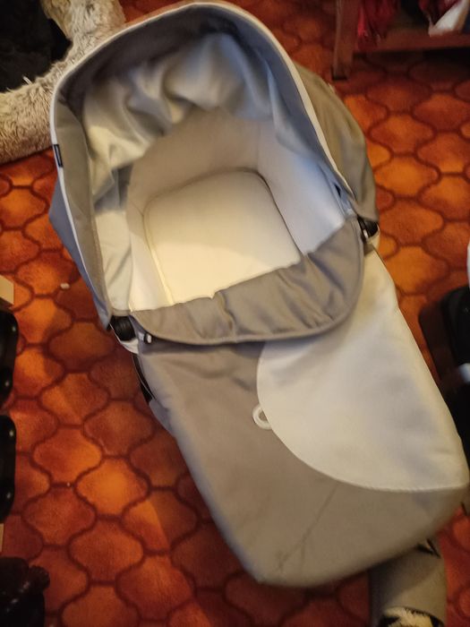 Alcofa chicco chicco