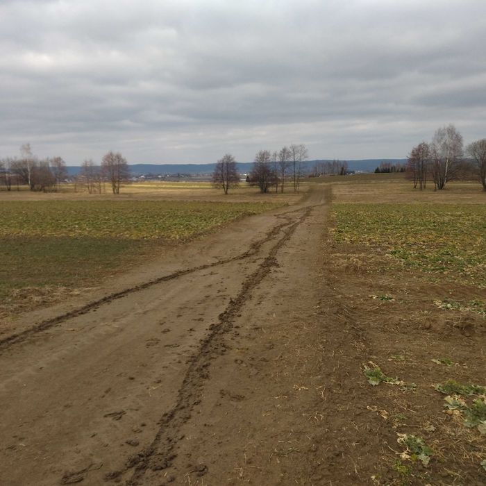 Syndyk sprzeda udział w prawie własności nieruchomości
