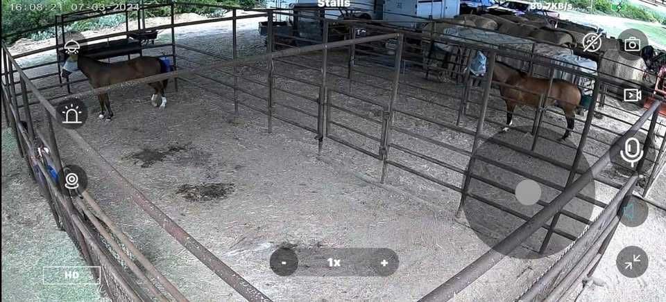 Câmera giratória Wi-Fi + Painel solar