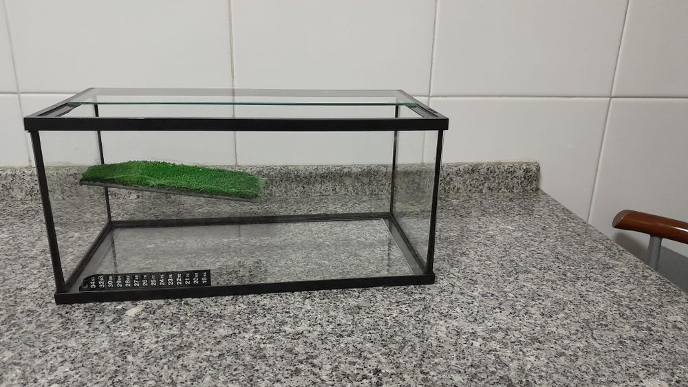 Aquário para tartaruga/cágado e com proteção em vidro.