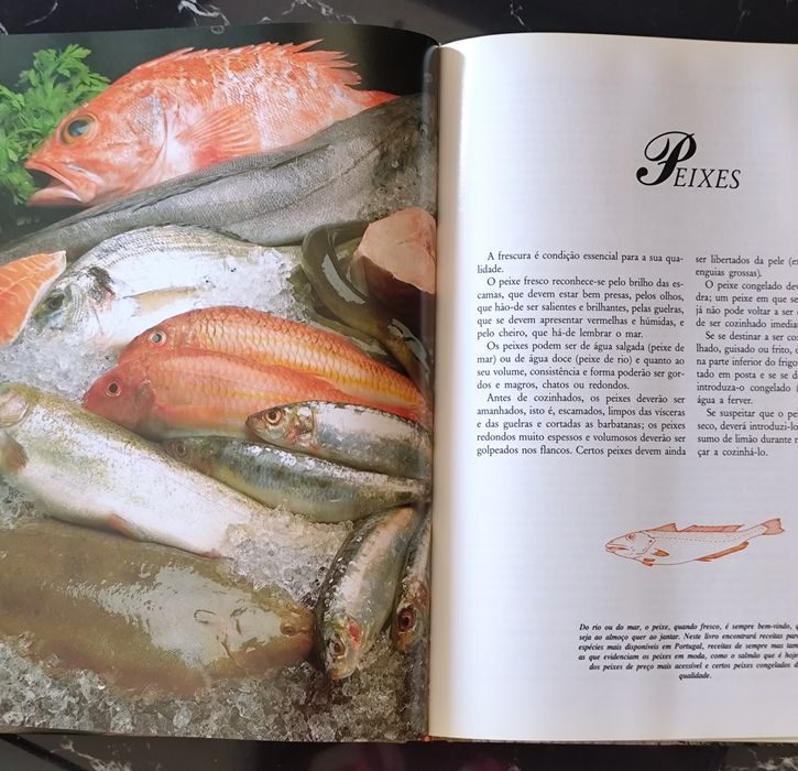 Livro mítico da culinária Portuguesa, Edição especial "As receitas escolhidas" de Maria de Lurdes Modesto