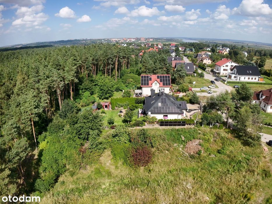 Zdjęcie 7